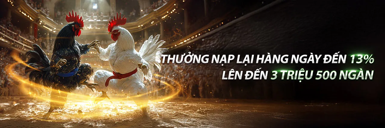 Nền tảng 123b an toàn, bảo mật thông tin cá cược