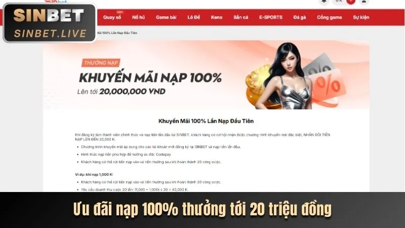 Lý do chọn 123b